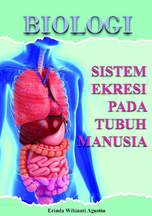 Biologi : Sistem ekskresi pada tubuh manusia